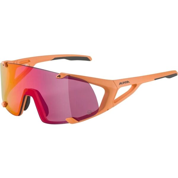 Alpina Sports HAWKEYE S Q-LITE Sluneční brýle